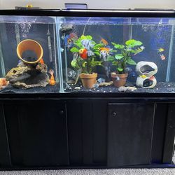 FISH TANK - 120 Gallons