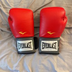 Everlast 14oz Boxing gloves