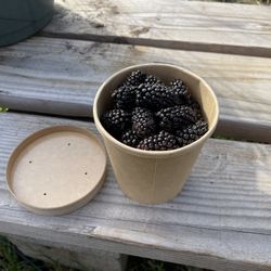 Organic Marionberries $5/lb 