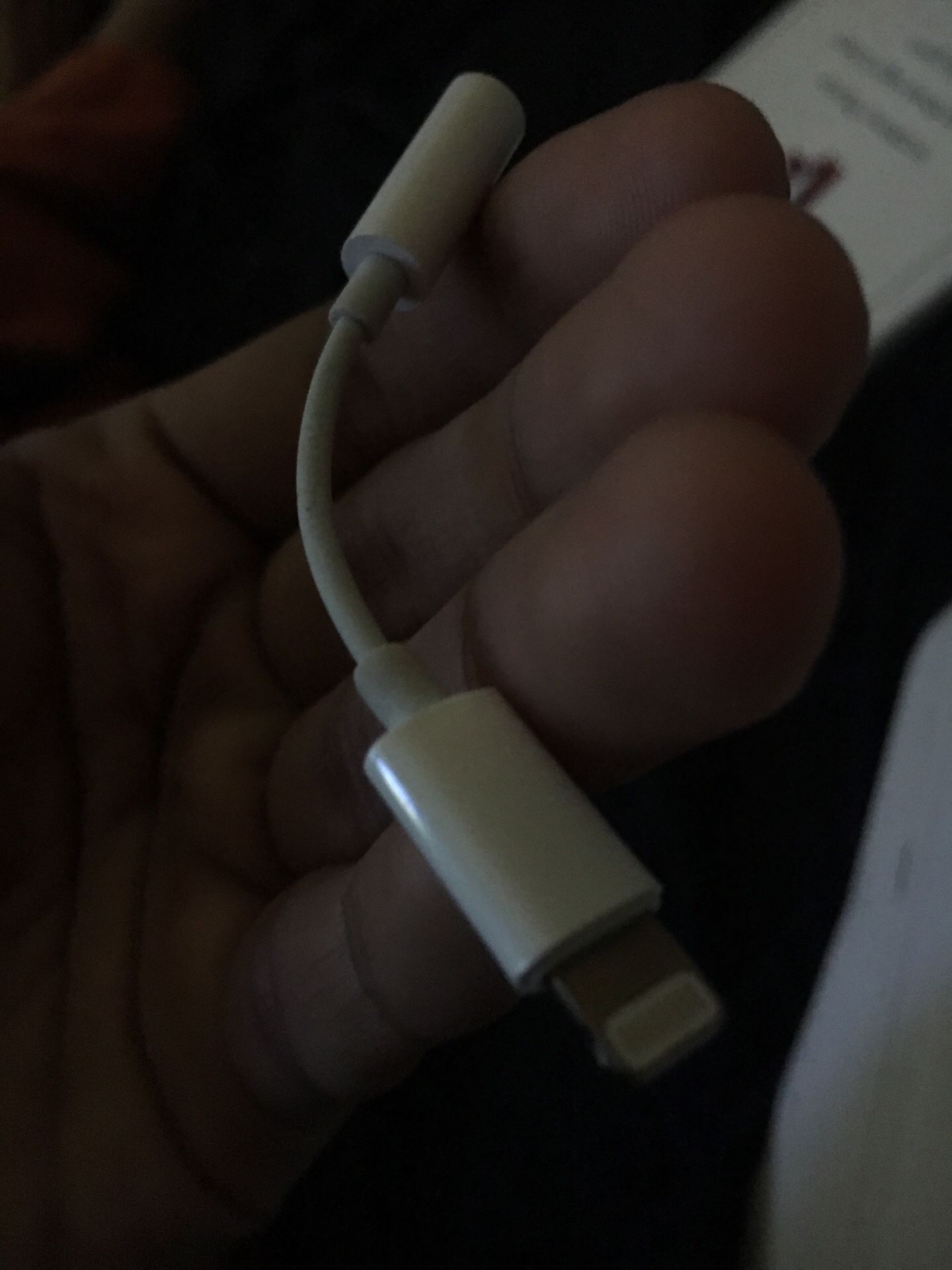 Apple Headphone Adapter