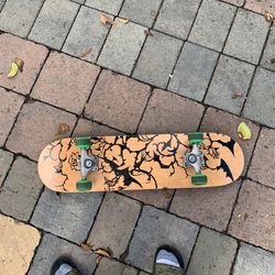 Skateboard 