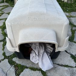 Large Pet mate Dog kennel $75 Obo 