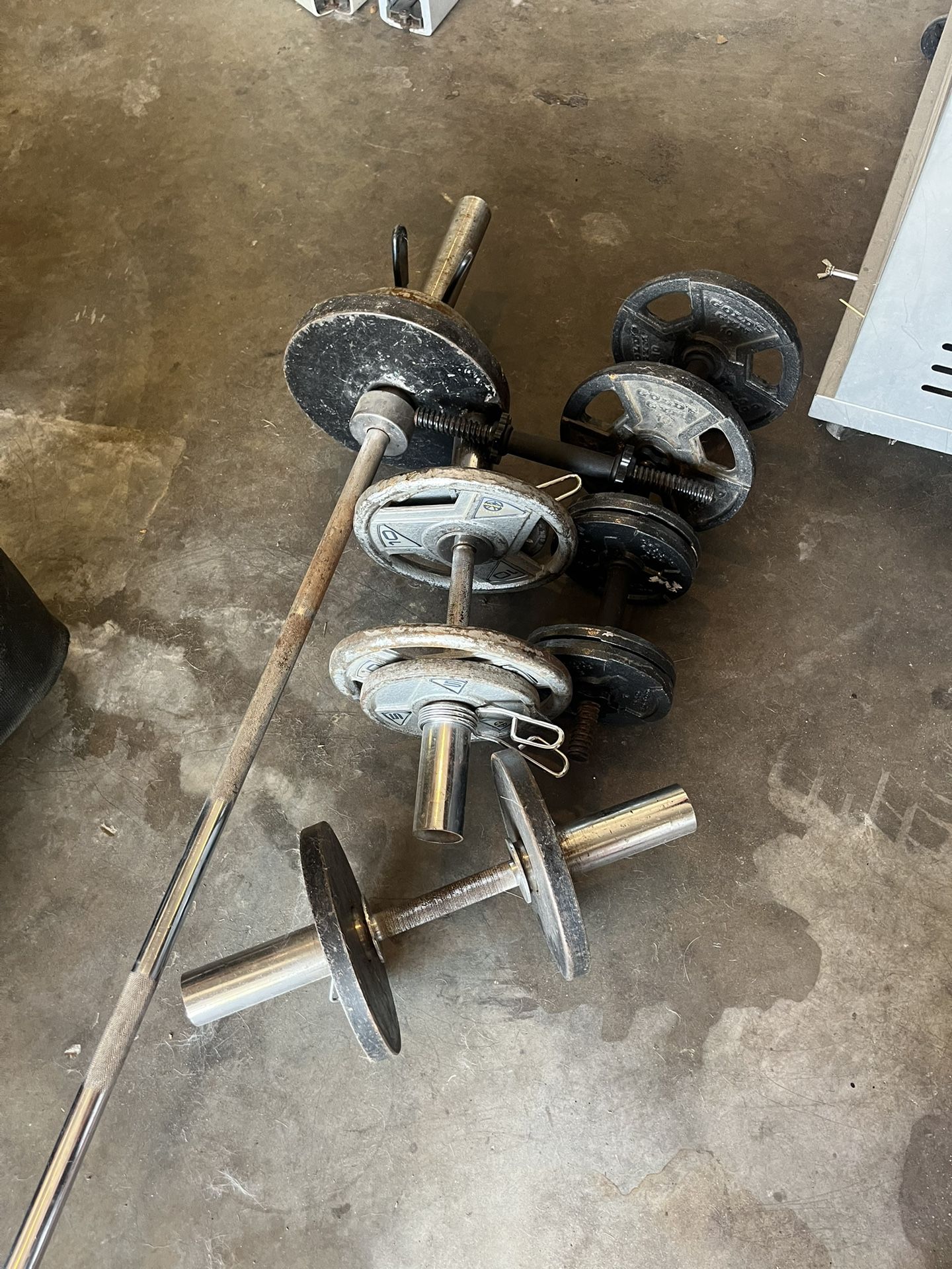 Weights & Bench Press