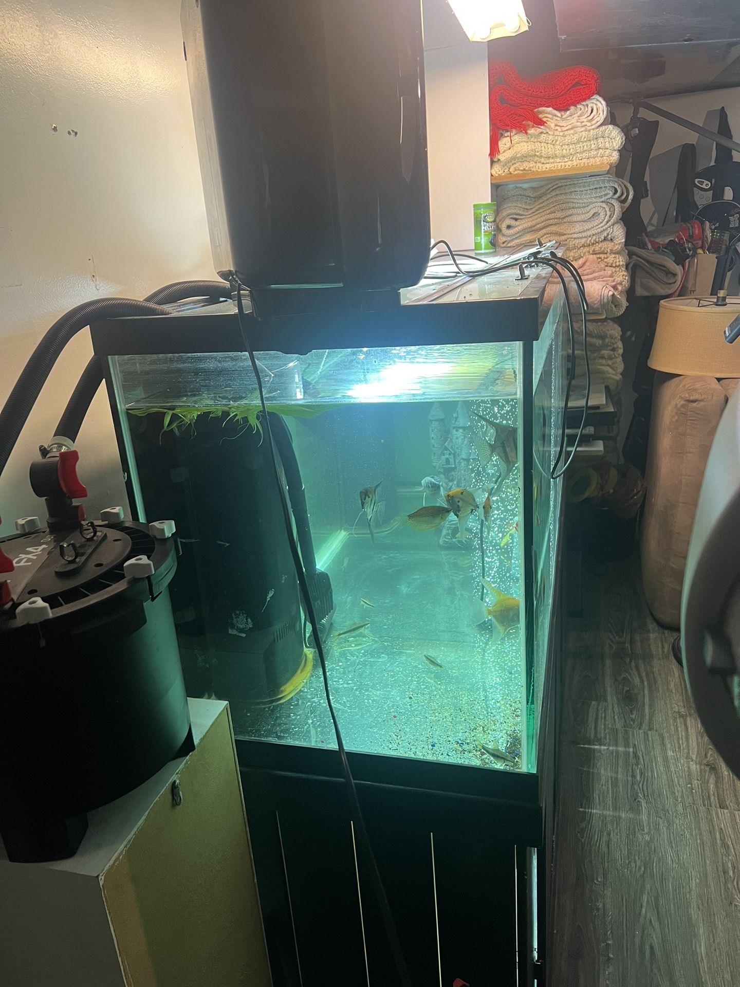 210 Gallon Fish Tank For Sale In Ontarioville IL OfferUp 210-gallon-fish-tank-for-sale-in-ontarioville-il-offerup