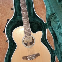 Takamine 12 String Pro Series 