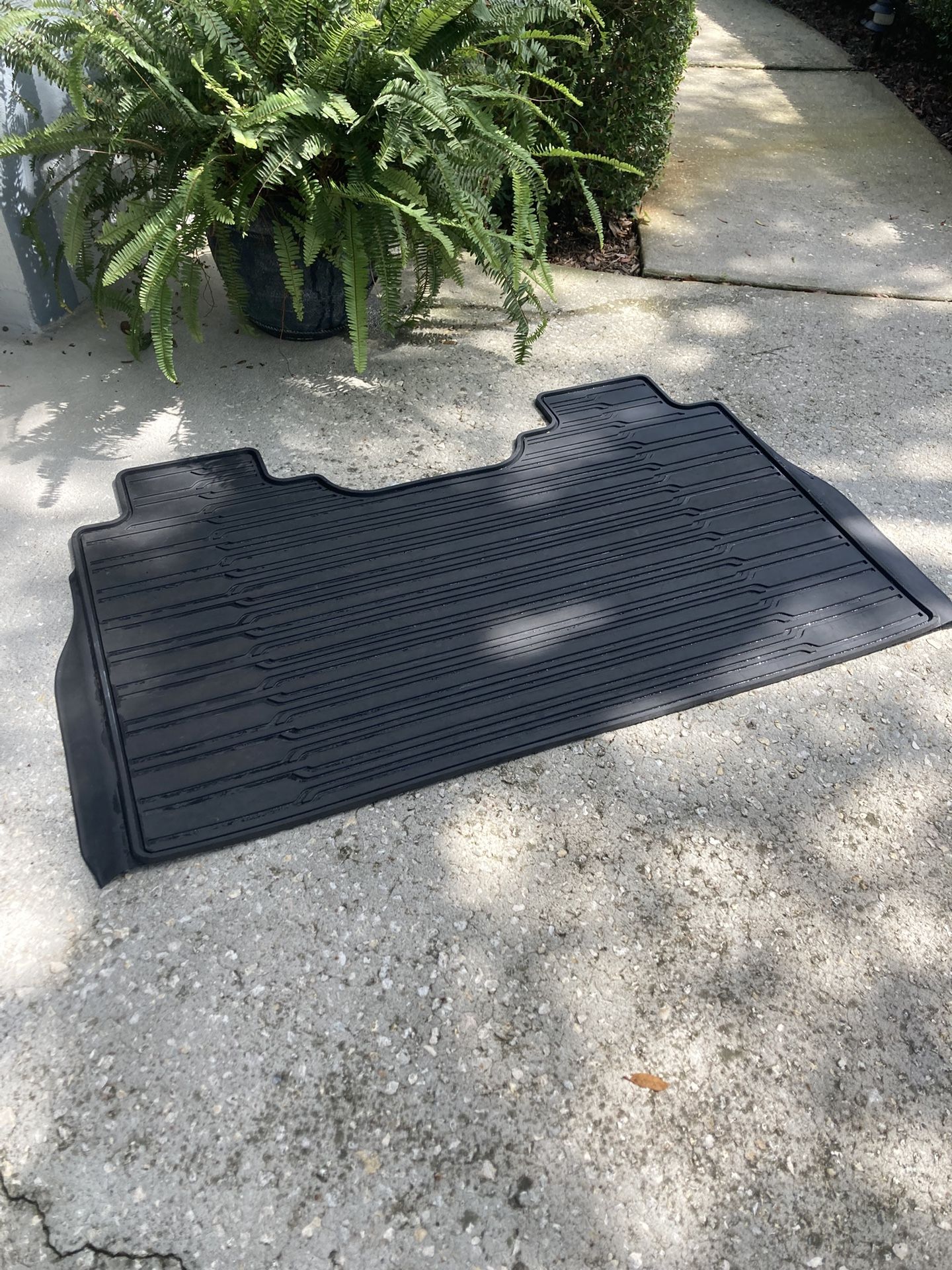 F150 Rear Floor Mat