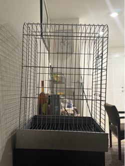 Big bird cage