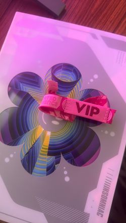 EDC VIP Sunday