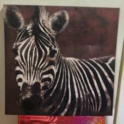 zebra frame. 