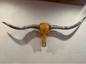 Texas Longhorn Wall Art