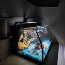 Fish Tank For Sale