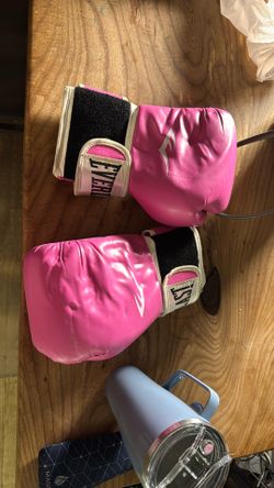 Everlast Boxing Gloves 