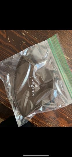 Travis Scott Cactus Jack Face Mask