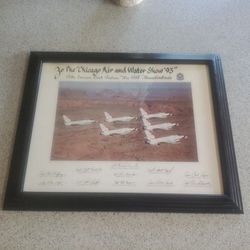 1993 Chicago Air And Water Show United States Air Force Thunderbirds With 11 Autographs Picture And Framed