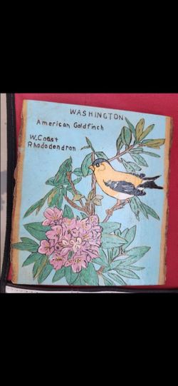 Washington State Bird & Flower Painted Wood Plaque