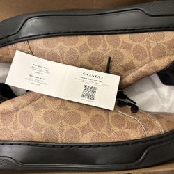 Coach High Line Sig. Sneaker