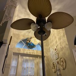 Decorative Fan  For Lani 