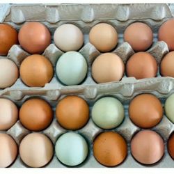 Pasture   Organic Eggs 