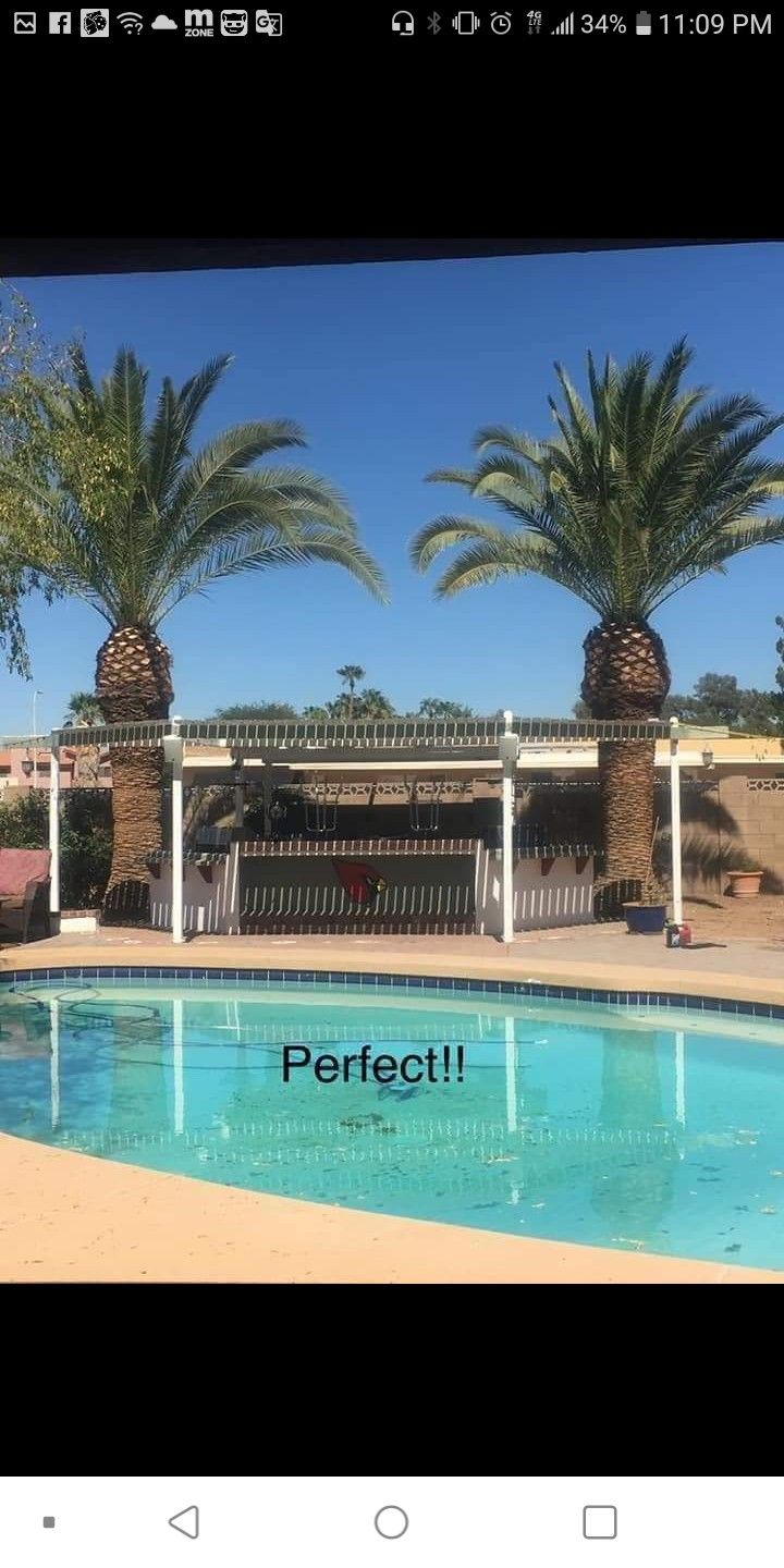 Arboles Trimming Palm Trimming