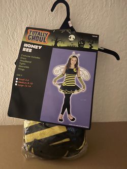 Beautiful bee costume