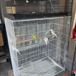 Bird Cage