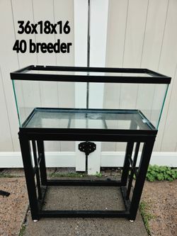 40 gal breeder fish tank