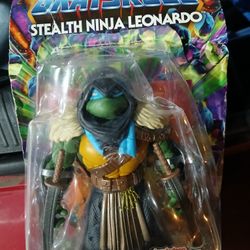 Masters of the universe ninja turtle