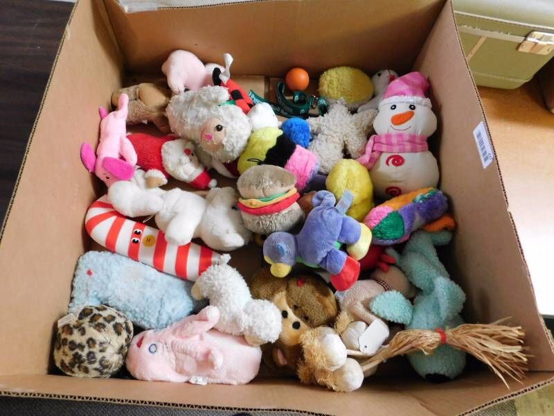 Stuffed Animals