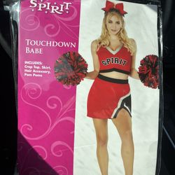 Cheer Costume