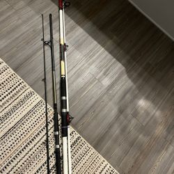 Surf Fishing Rods 