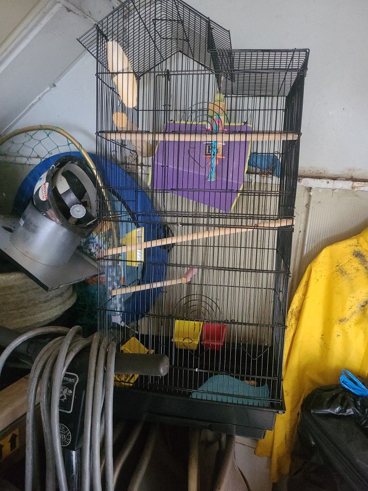 Bird Cage