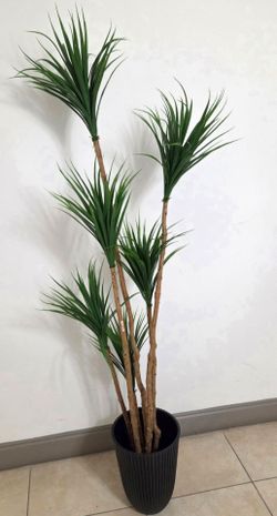 *** NEW LOW PRICE *** 6ft Faux Spider Dracaena in a 15in (Tall) Black Resin Planter @ Lasting Creations