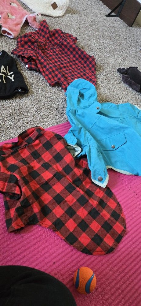 Small Doggie Clothes Lot