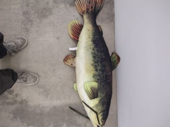 Catfish Junior Sized Body Pillow