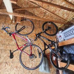 Road And Mountain Bike