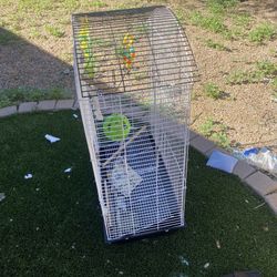Bird Cage