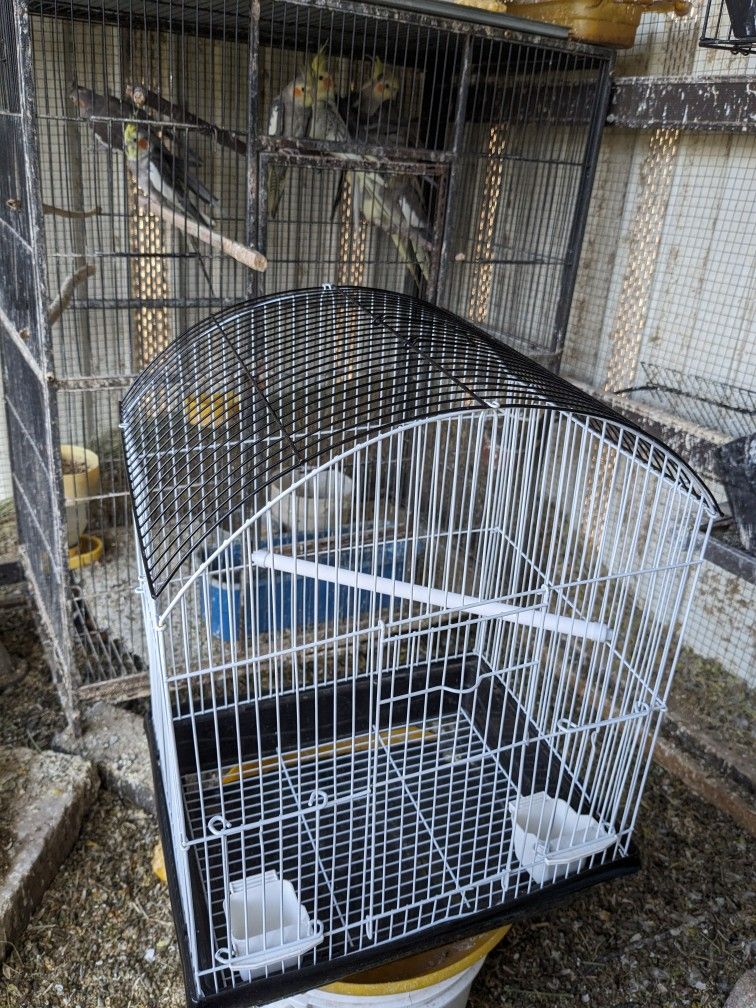 Jaula Para Pájaros, Bird Cage