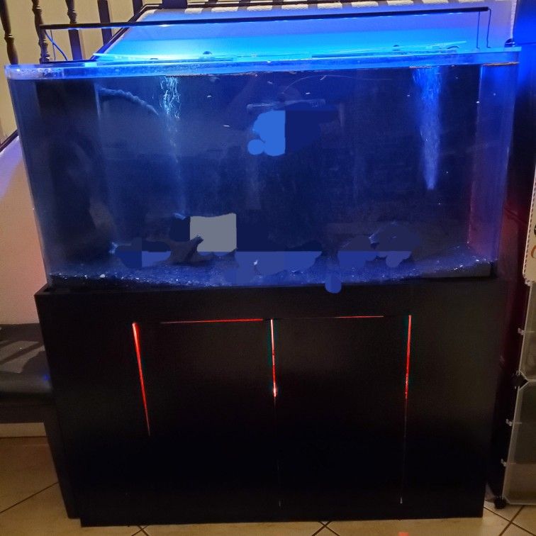 fish tank for Sale in Las Vegas, NV OfferUp