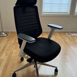 Ergo Desk Chair