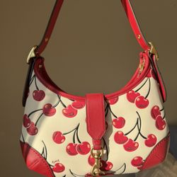 Coach Hamptons limited edition bag