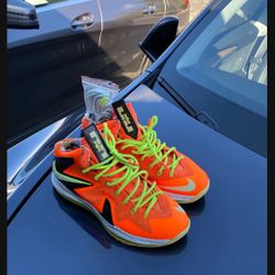 LeBron James Size 11.5