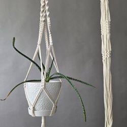 3 Plant Hangers ☘️ 