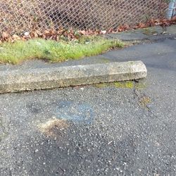 4 Parking Curbs 
