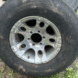 Need Gone 