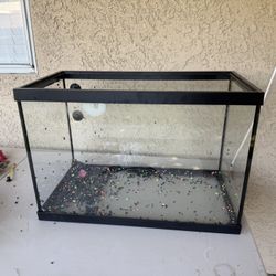 20 Gallon Fish Tank With Everything Needed