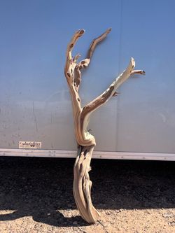 Manzanita Wood: Aquarium, Reptiles, Birds Vivariums, Terrariums, Home decor