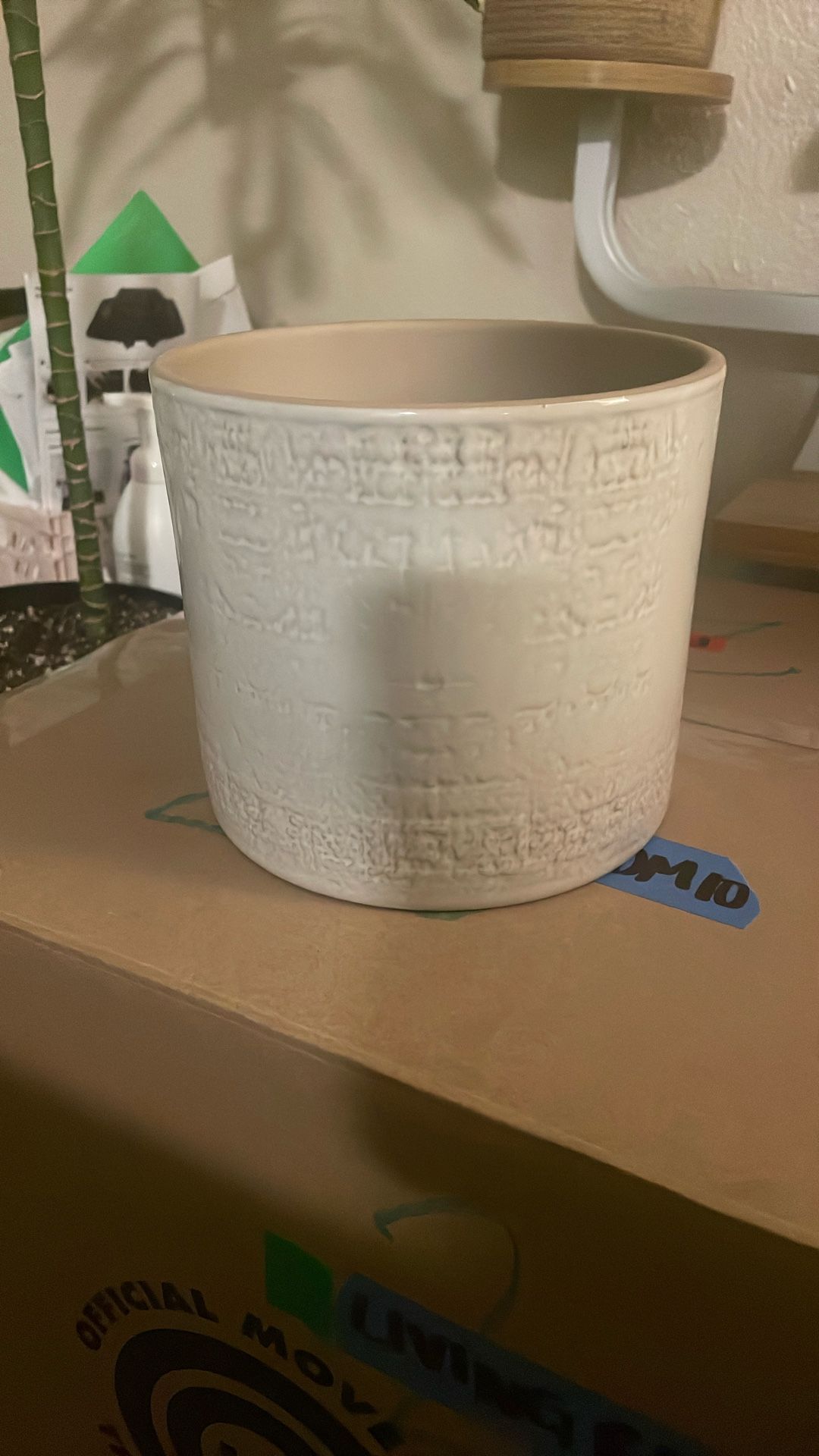 IKEA Chiafron Plant pot, indoor/outdoor white, 6 "