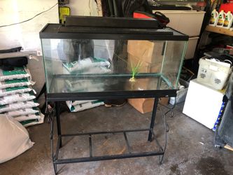 20 gallon tank ,stand and light