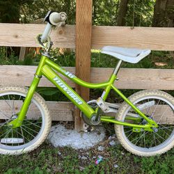 16” Novara Firefly Kid’s Bike