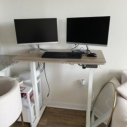 28-46 Inch Height Adjusting Desk